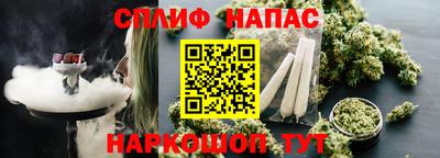 спайс Малгобек