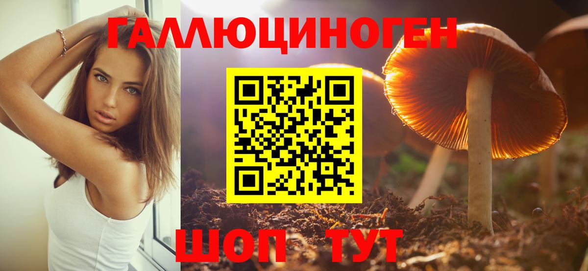 Псилоцибиновые грибы Magic Shrooms  Вход с VPN  Вичуга 